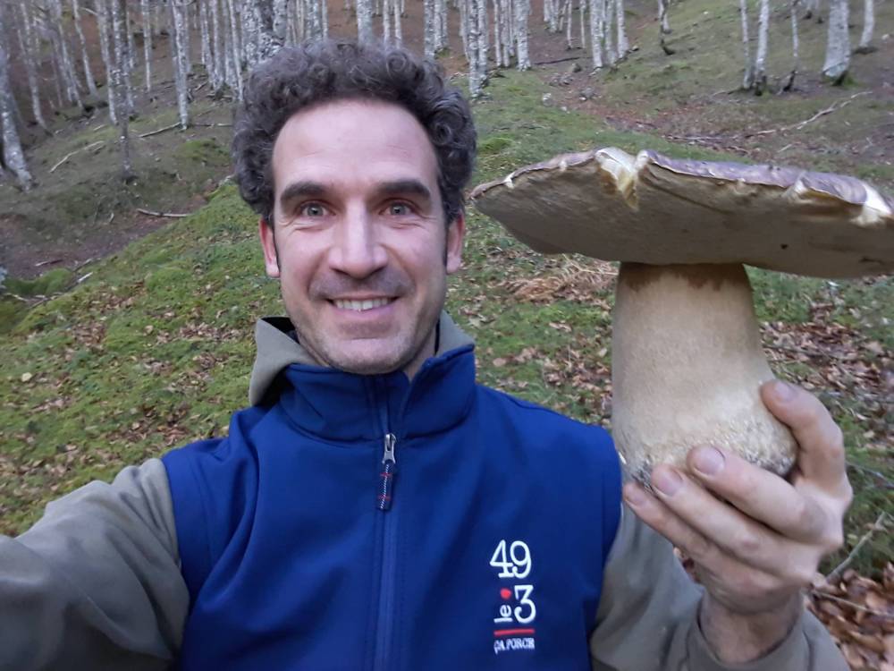 récolte champignon